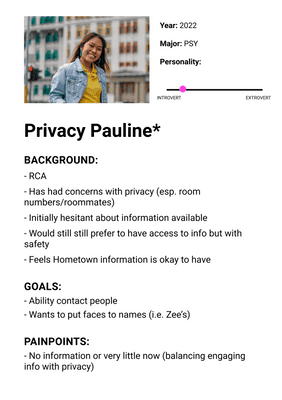 Persona for Privacy Pauline