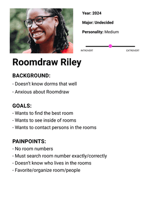 Persona for Roomdraw Riley